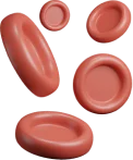 Red Blood Cells